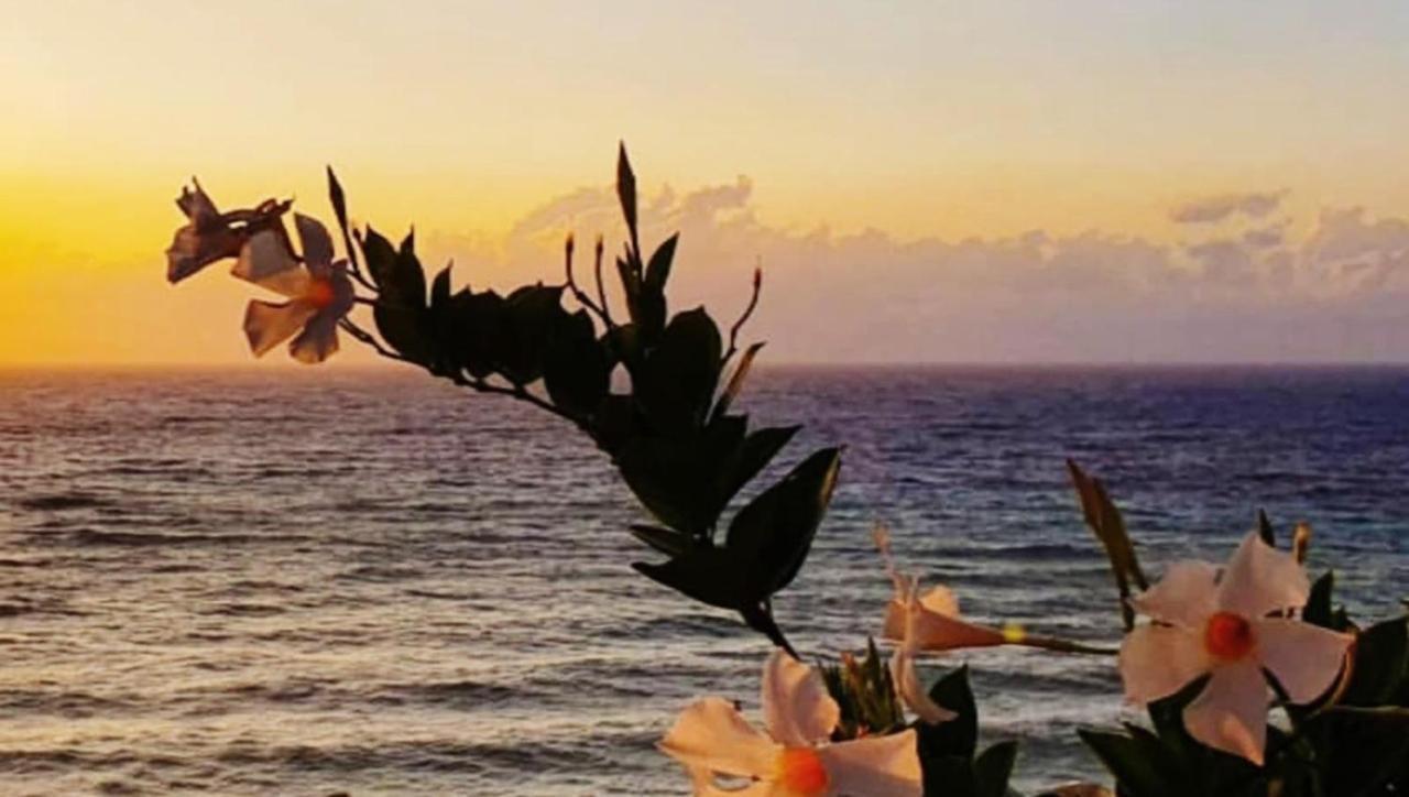 Gallipoli Mancaversa Futura Vacanza Andrea 玛丽娜迪曼卡维萨 外观 照片